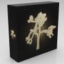 U2 Joshua Tree Bundle Image 5