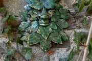 Green Man wall plaques