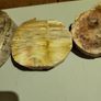 Petrified wood slices Image 3