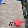 Carpets for Dog Image 5