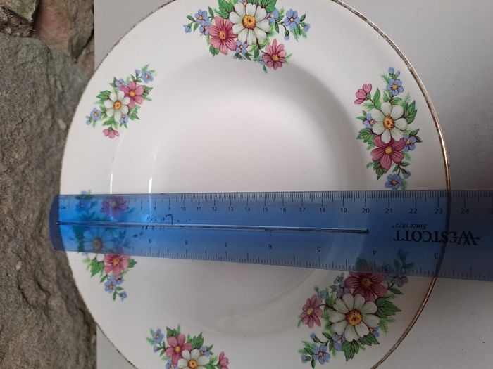 Arklow pottery soup bowl