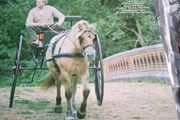 Brendan shine vinyl lp