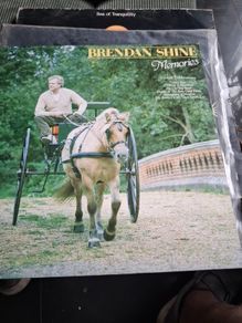 Brendan shine vinyl lp