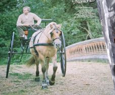 Brendan shine vinyl lp