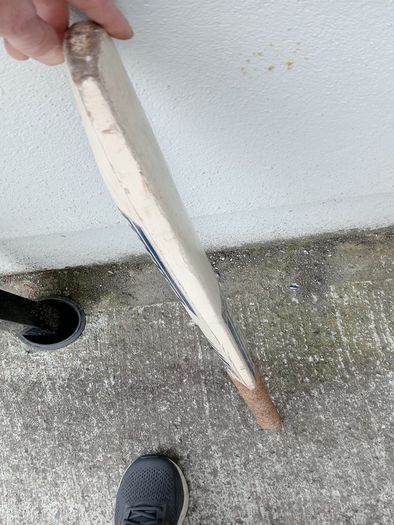 vintage cricket bat
