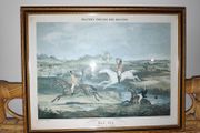 Vintage circa 1950's/1960's framed print of Shayer's English Fox Hunting/ Full Cry. Clearing the Brook