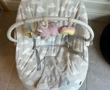 Baby Bouncer