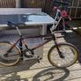 Raleigh Burner Image 7