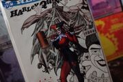 Harley Quinn ! Issue #24 ! Frank Cho Variant Cover ! 2017 ! by DC Comics !