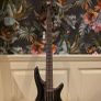 Ibanez Sr1305sb-mgl Image 4