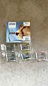 Epson Printer Ink