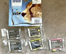 Epson Printer Ink