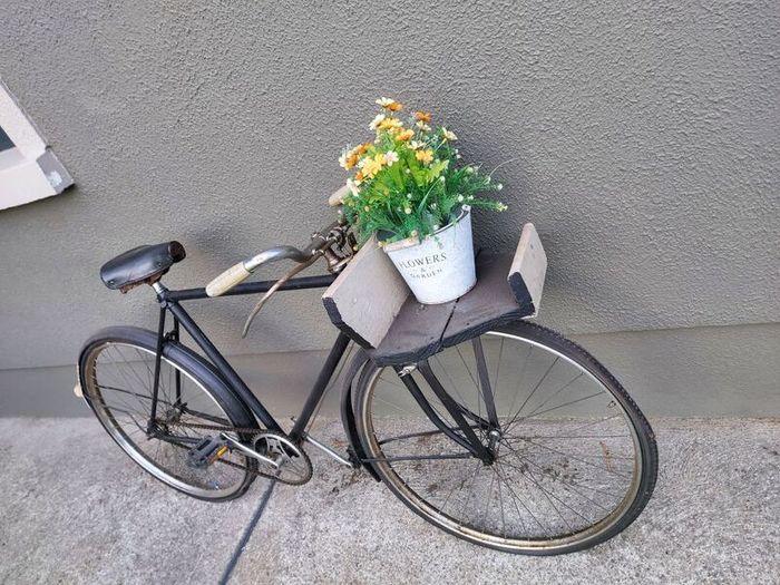 Triumph Bicycle.