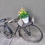 Triumph Bicycle. Image 3