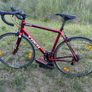 Trek 1.1 Series Lightweight Road Bike Serviced & Ready to Ride Image 6