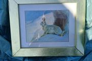 Lovely, Decorative Hare Picture