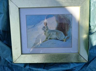 Lovely, Decorative Hare Picture