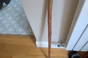 Walking stick