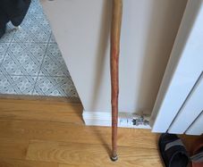 Walking stick