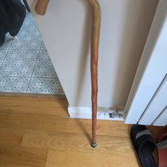 Walking stick