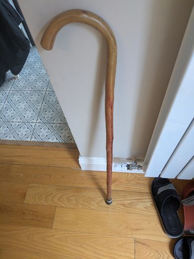 Walking stick