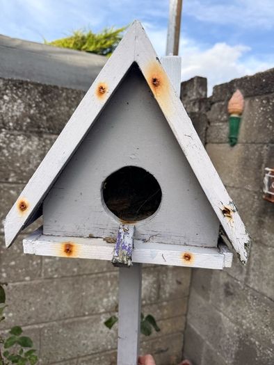 Bird House free
