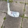putter Image 5