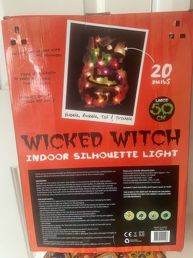 Halloween Wicked Witch indoor light