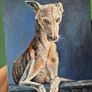 #2 Spanish Greyhound / Galgo Espaniol / oil painting on canvas panel Image 3