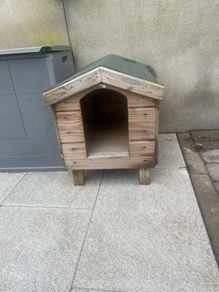small dog box