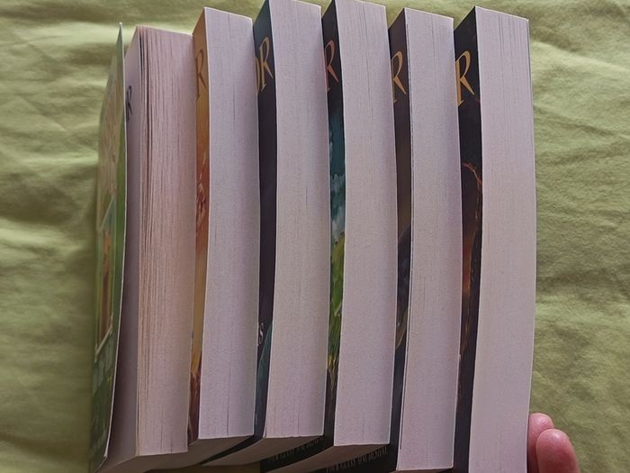 warrior cats series 1