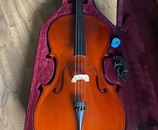 Cello Full Size
