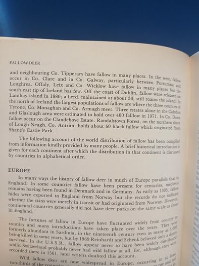 Fallow Deer book