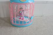 Little live bird