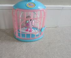 Little live bird