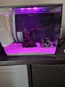 fluval flex fish tank 34L