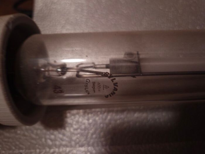 600w sodium light with ballast.
