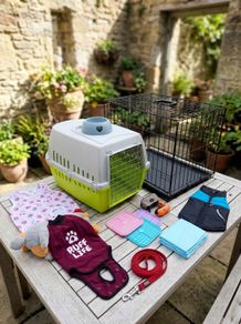 Small size dog Puppy starter kit RRP 220