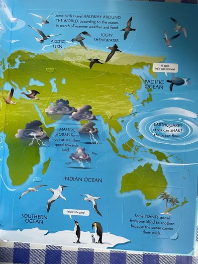 Usborne - Lift the flaps - See Inside Oceans - Brand new