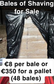 Bales of Shavings
