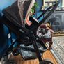 Graco Evo Travel System Image 7