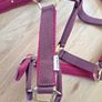 Head Collar for Pony Image 2