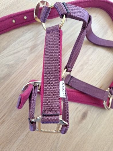 Head Collar for Pony