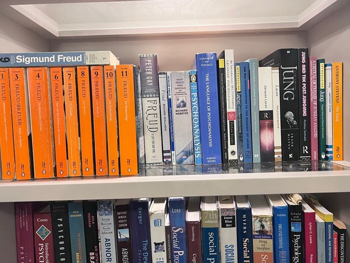 Psychoanalysis, Freud, Lacan & Jung  Specialist Academic Book Collection