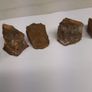 Tigers eye Image 2