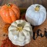 Autumn Decorations Bundle Image 3