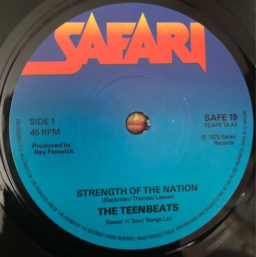 The Teenbeats - Strength Of The Nation (1979) 7"
