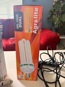 Set of Lumii grow lights