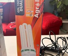 Set of Lumii grow lights