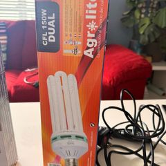 Set of Lumii grow lights